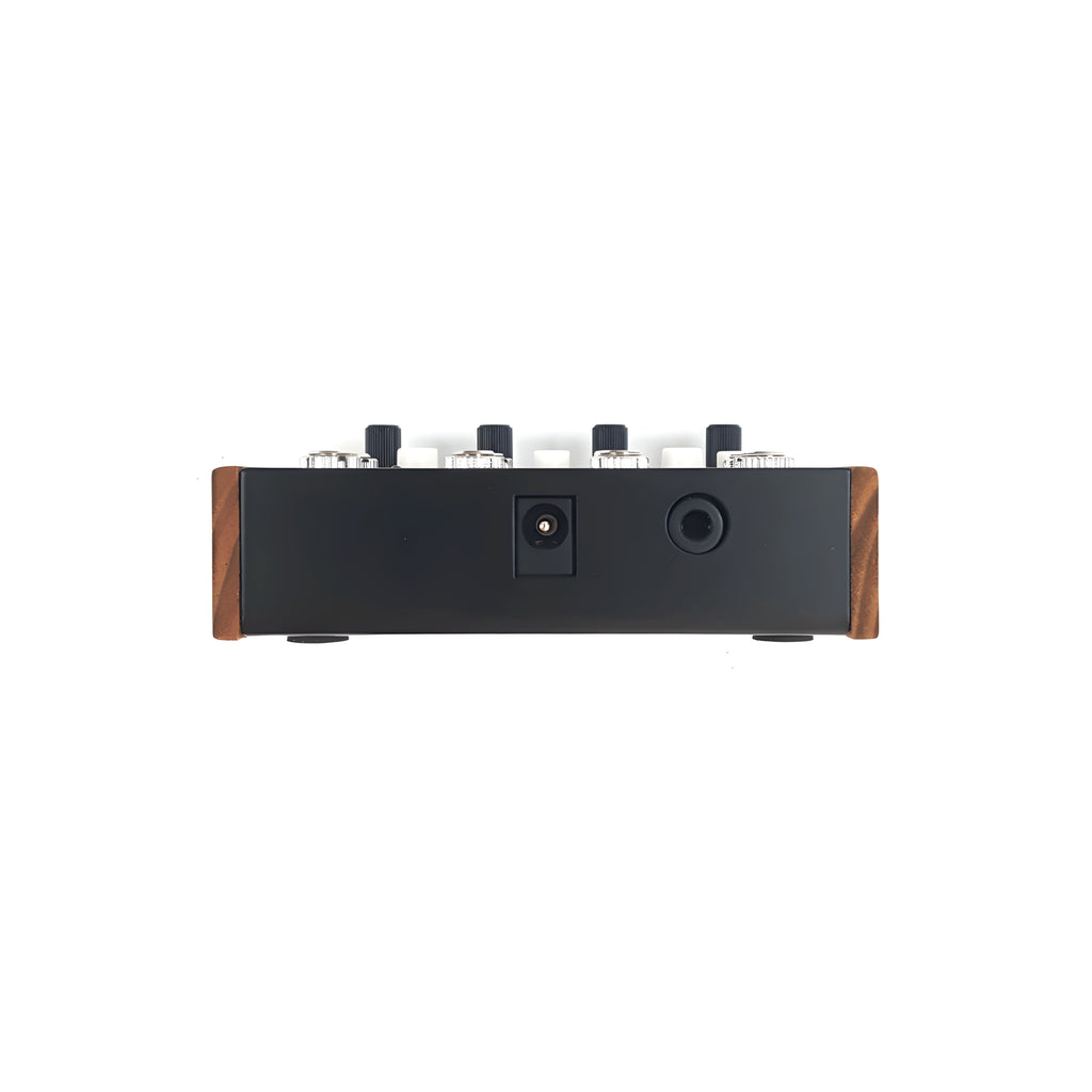 Panel trasero del DF Audio Nano U