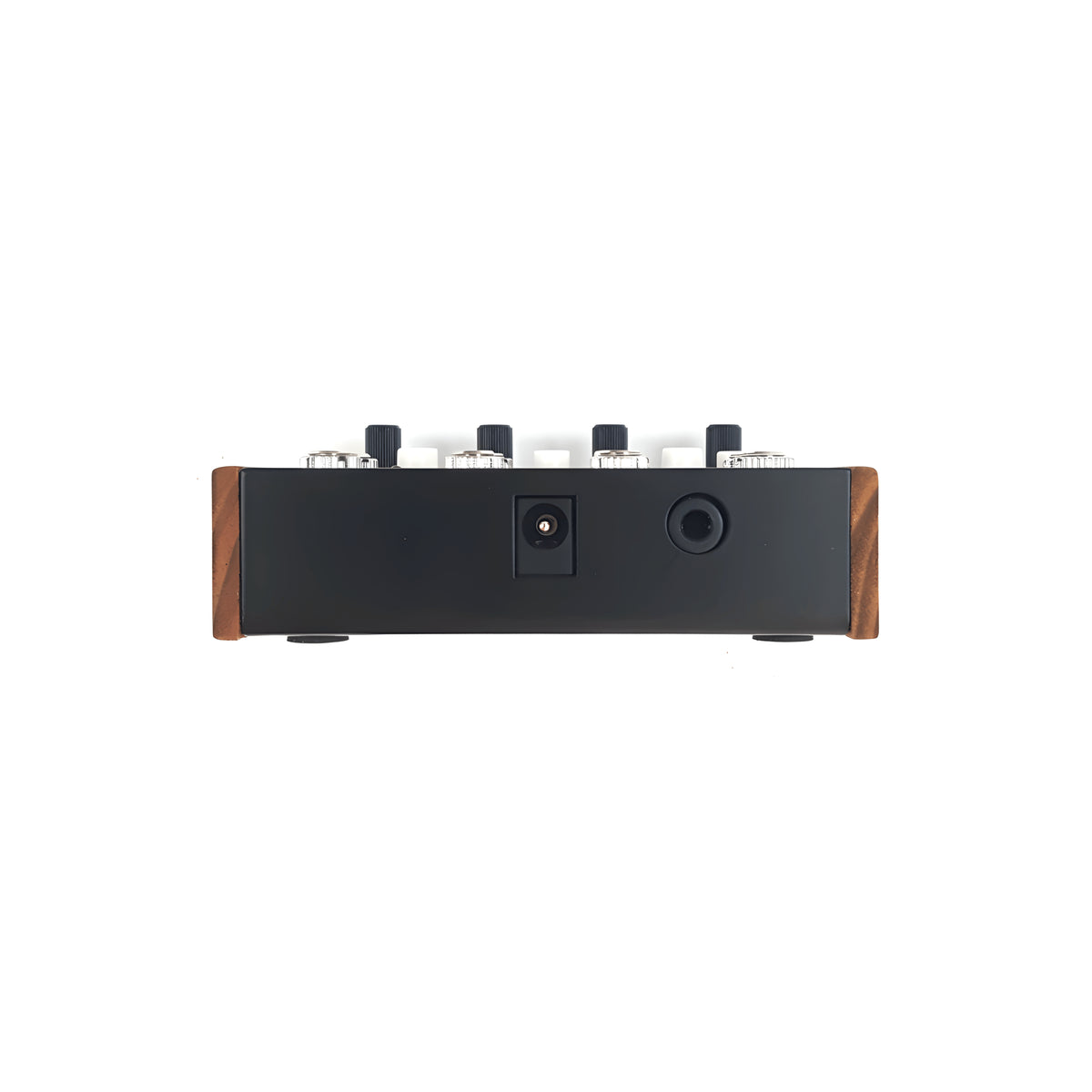 Panel trasero del DF Audio Nano U